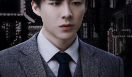 刘宇宁演的电视剧,情感纠葛与成长蜕变