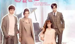 总裁在上电视剧,权谋与爱情的较量